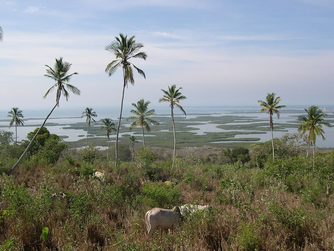Vista de los cayos de Morrocoy